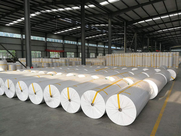 信宜狭缝式涤纶纺粘无纺布